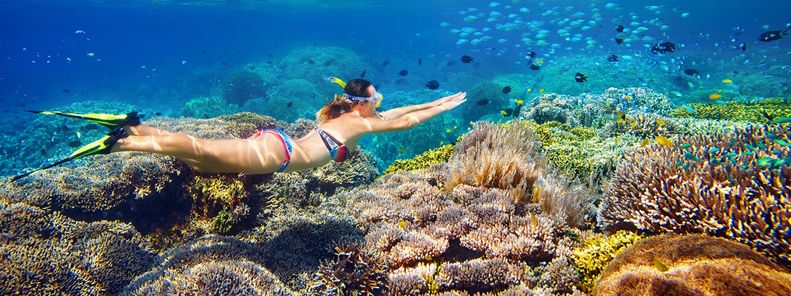 Snorkeling